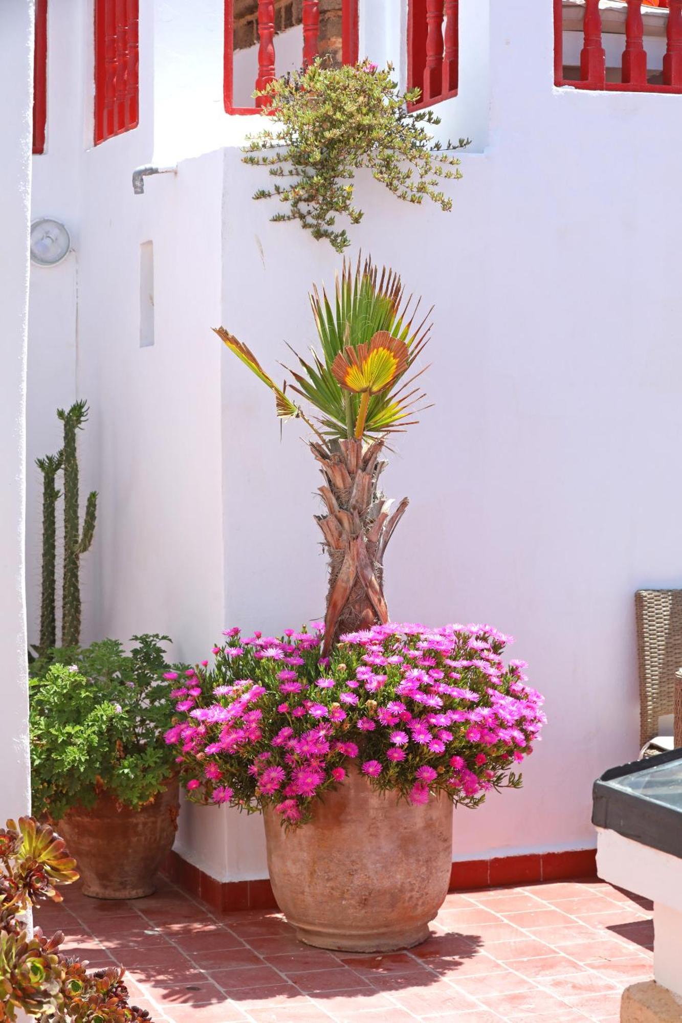 Villa Garance As-Sawíra Exteriér fotografie